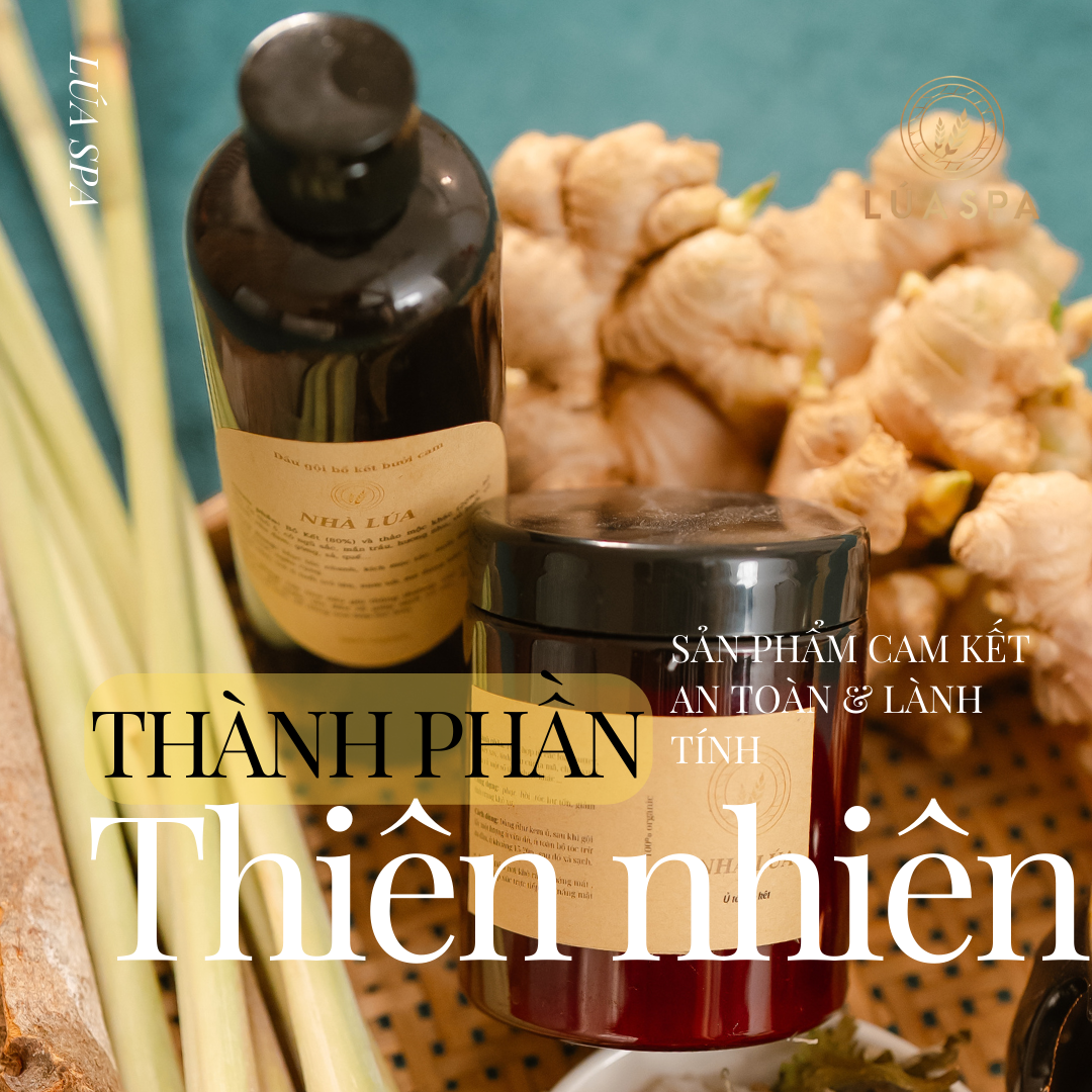 Hương tóc mạ non